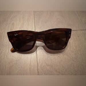 Ray-Ban Brown Tortoise Sunglasses
